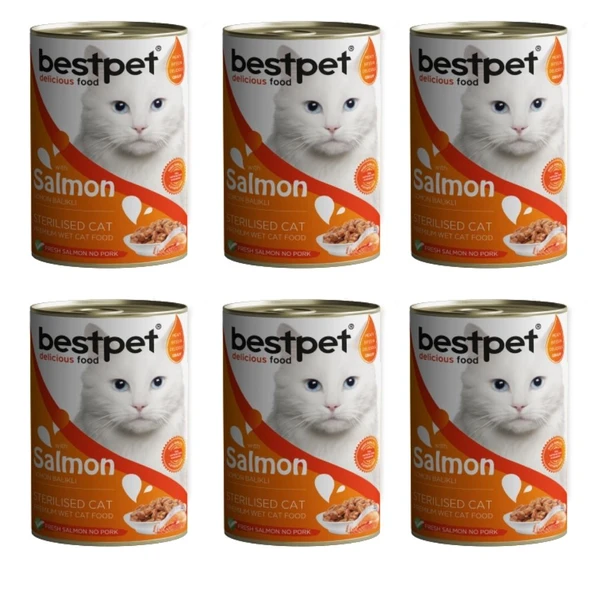 Bestpet Sterilised Somonlu Kısırlaştırılmış Kedi Konservesi 400 gr 6'lı Paket ürün görseli 1