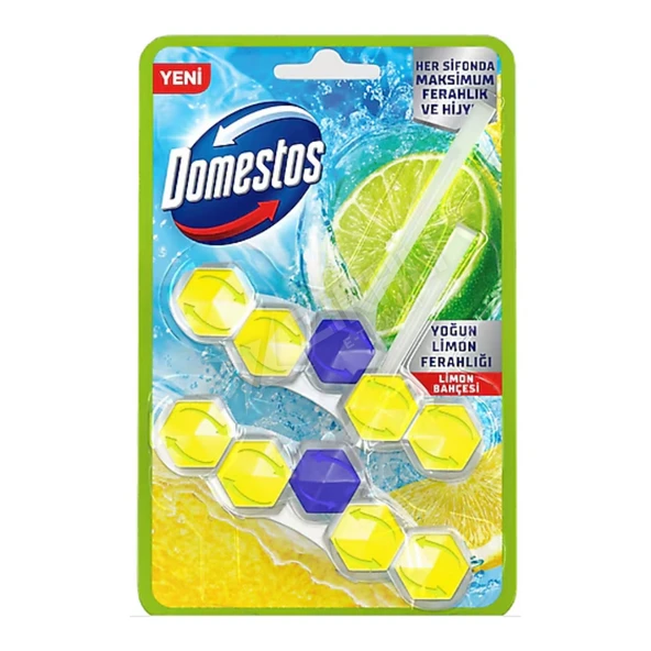 4 ADET Domestos Wc Blok Duopack Limon Bahçesi 100 Gr ürün görseli 1