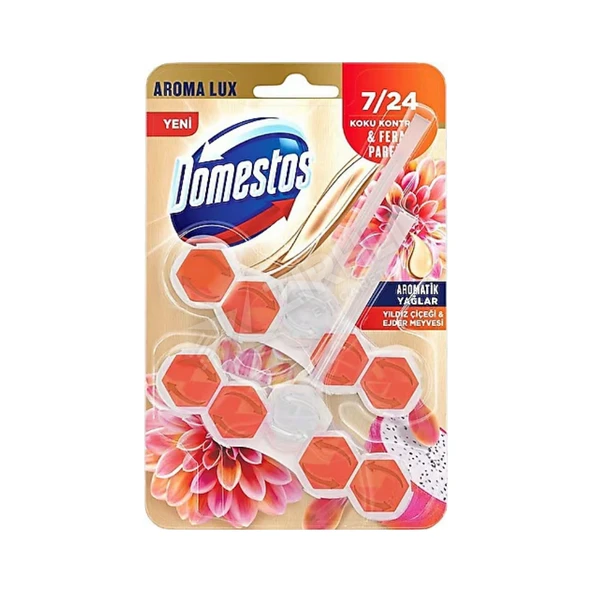 2 ADET Domestos Wc Blok  Duopack Yıldız Çiçeği & Ejder Meyvesi 100 Gr ürün görseli 1