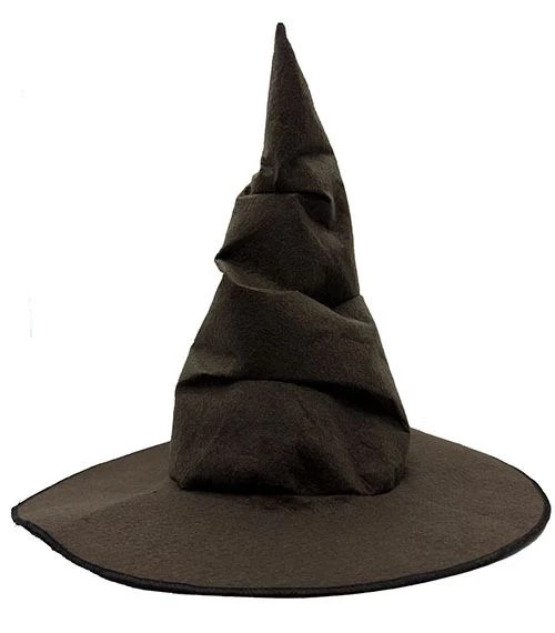 Harry Potter Seçmen Şapkası Çocuk Boy ürün görseli 1