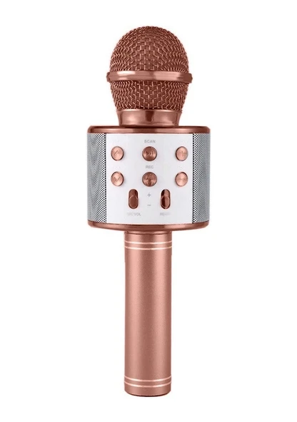 WS-858 Karaoke Mikrofon Bluetooth Hoparlör Rose Gold ürün görseli 1