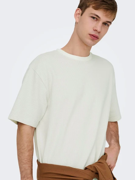 ONSKIAN LIFE RLX SS STRP TEE Egret Egret XL ürün görseli 1