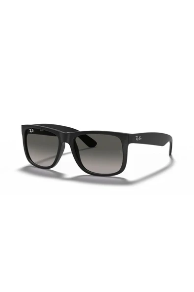 RB 4165 601/8G 55 Unisex Güneş Gözlüğü ürün görseli 1
