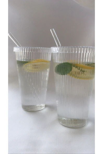 egeta 2 Adet Mika Bardak Cam Pipetli Kapaklı 600ml Mika Pinterest Bardak ürün görseli 1