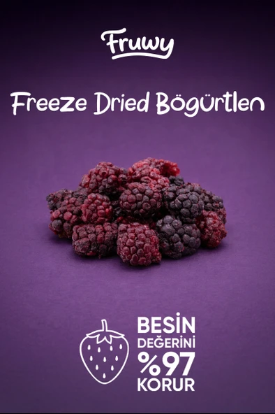 Freeze Dried Böğürtlen - Resim 5