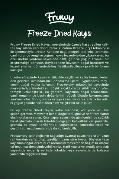 Freeze Dried Kayısı - Resim 4