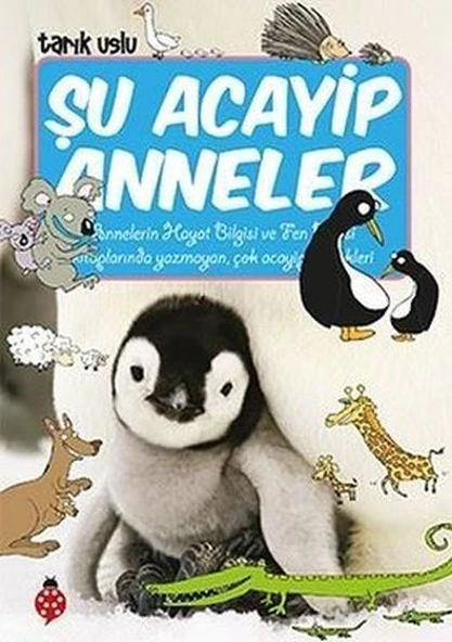 Şu Acayip Anneler ürün görseli 1