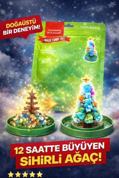 UCR HOME Renkli Dekoratif Süs Çam Ağacı 24 Saatte Büyümeye Başlayan Dekoratif Canlı Bitki Seti ürün görseli 1