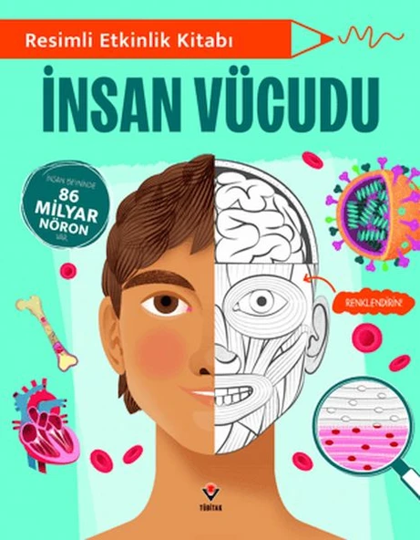 Resimli Etkinlik Kitabı - İnsan Vücudu ürün görseli 1