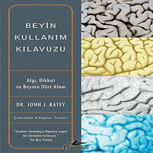 Beyin Kullanım Kılavuzu ürün görseli 1