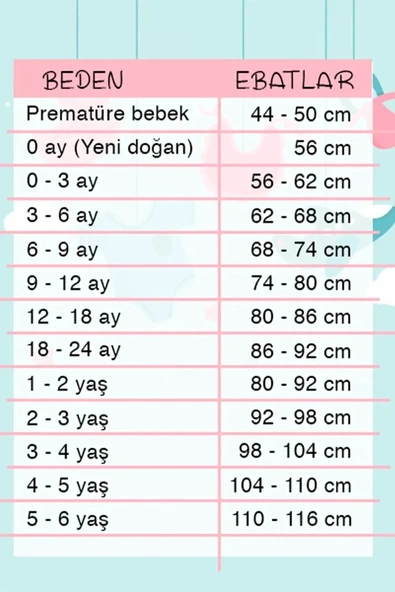 Optimist Nakışlı Erkek Bebek Takım - Resim 2