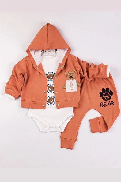 Bear Nakışlı Kapişonlu Erkek Bebek Takım ürün görseli 1