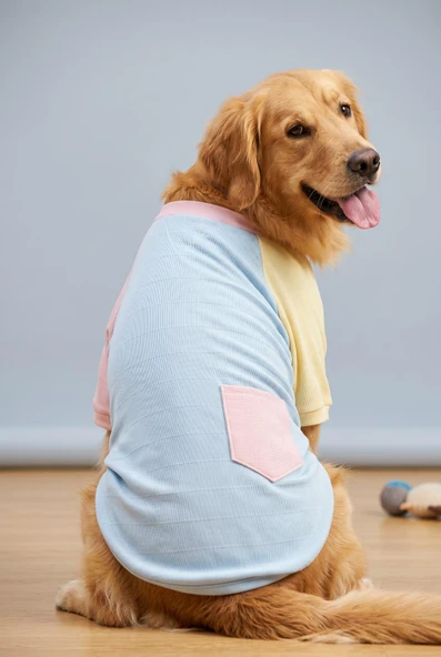 Bubbles Pastel  Orta ve Büyük Irk Köpek Tişörtü | Yazlık Köpek Kıyafeti ürün görseli 1