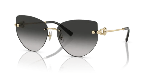 Tiffany Co. TF 3096 60213C 60 Kadın Güneş Gözlüğü ürün görseli 1