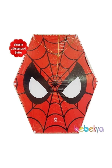 string ARIK İPLİ AHŞAP KATLANABİLİR ÇITALI UÇURTMA - Resim 2