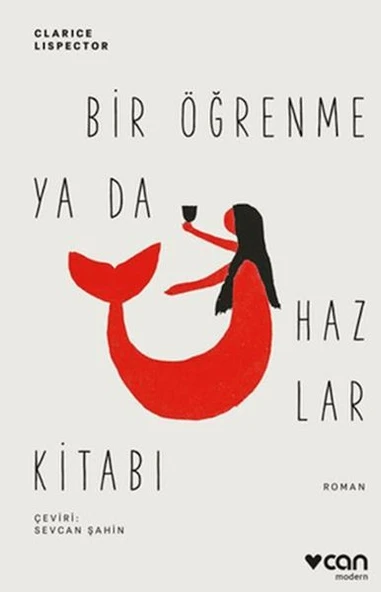 Bir Öğrenme ya da Hazlar Kitabı ürün görseli 1