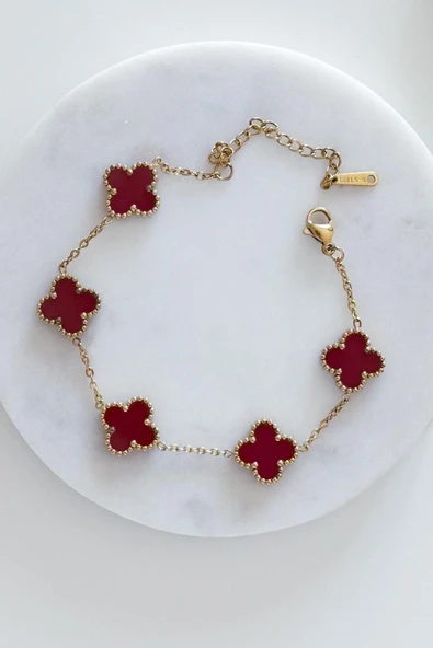 Gold Bordo Doğal Taşlı Premium Çelik Bileklik ürün görseli 1