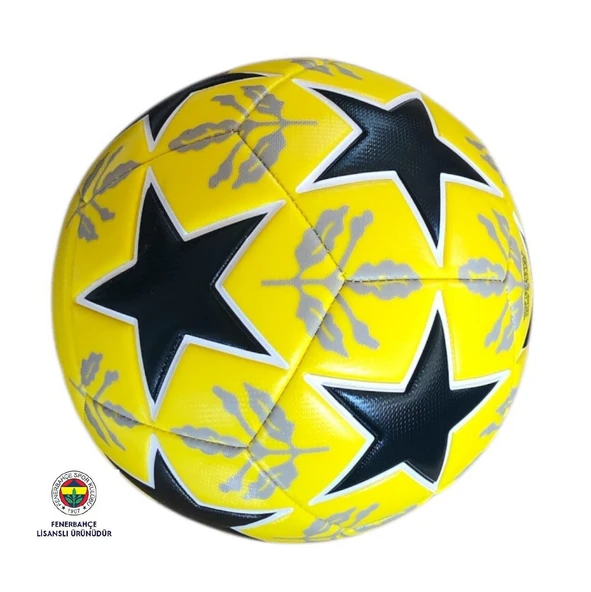 Fenerbahçe Lisanslı Futbol Topu - Resim 3