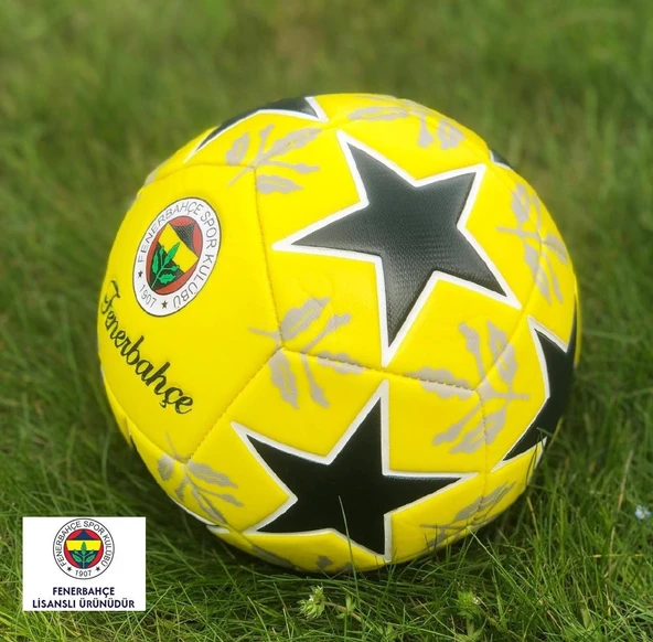Fenerbahçe Lisanslı Futbol Topu - Resim 2