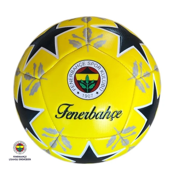 Fenerbahçe Lisanslı Futbol Topu - Resim 4