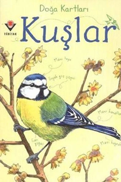 Doğa Kartları - Kuşlar ürün görseli 1