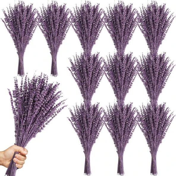 12Li Set Toptan Kuru Lavanta Çiçeği MOR Şoklanmış Stabilize Bozulmaz İthal Dökülmez Yoğun Kokulu ürün görseli 1