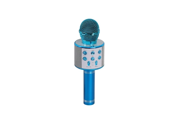 EMR-101 KUTULU KARAOKE MİKROFON ürün görseli 1