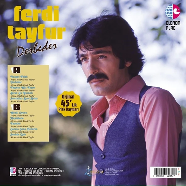 Ferdi Tayfur Derbeder - Renkli Plak ürün görseli 1