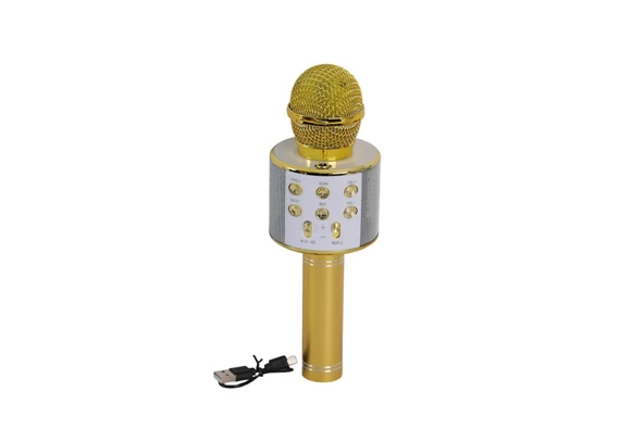 EMR-101 KUTULU KARAOKE MİKROFON - Resim 2