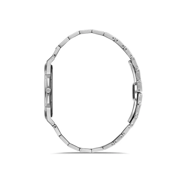 HİSLON CL127S-15SS Erkek Kol Saati - Resim 2