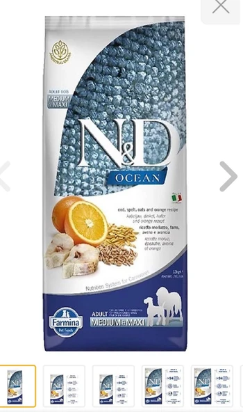 N&D Ocean Düşük Tahıllı Morina Balıklı ve Portakallı 12 kg Orta ve Büyük Irk Yetişkin Köpek Maması ürün görseli 1