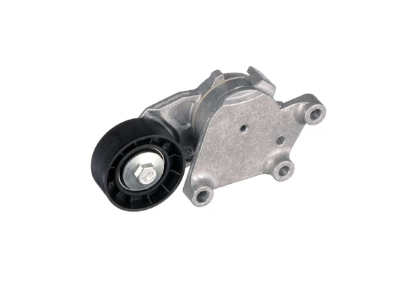ALTERNATÖR GERGİ RULMANI (KÜTÜKLÜ) P206 1.6HDI 04=> P307 1.4HDI (01-05) 1.6HDI (05-09) P1007 1.4HDI ürün görseli 1