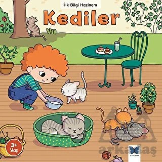 Kediler ürün görseli 1