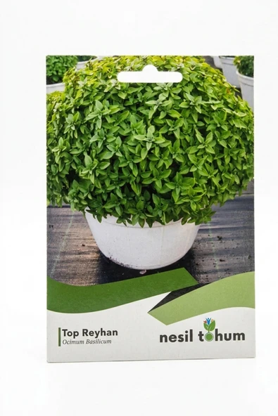 Top Reyhan Tohumu - Resim 2