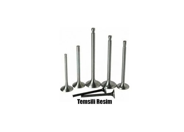 EMME+EGZOZ SUBAP TAKIM POLO-GOLF6-CADDY-PASSAT-JETTA-A3 ürün görseli 1