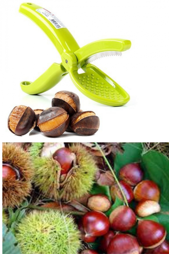 Yayke Kestane Bıçağı, Kestane Çizici, Kestane Kesici ,Kestane Kesme Bıçağı ürün görseli 1