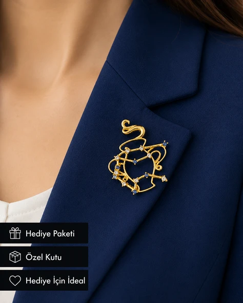 Kova Burcu Kadın Broşu Hediye Zirkon Taşlı Gold Renk Tasarım Rozet ürün görseli 1