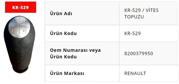 VİTES TOPUZU MEGANE II ürün görseli 1