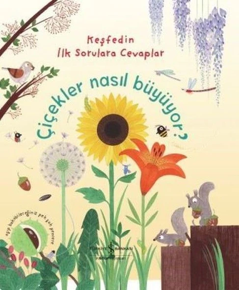 Keşfedin İlk Sorulara Cevaplar - Çiçekler Nasıl Büyüyor ? (Ciltli) ürün görseli 1