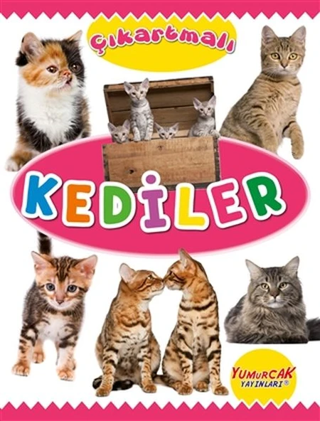 Çıkartmalı Kediler ürün görseli 1