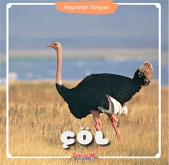 Çöl - Hayvanlar Dünyası ürün görseli 1