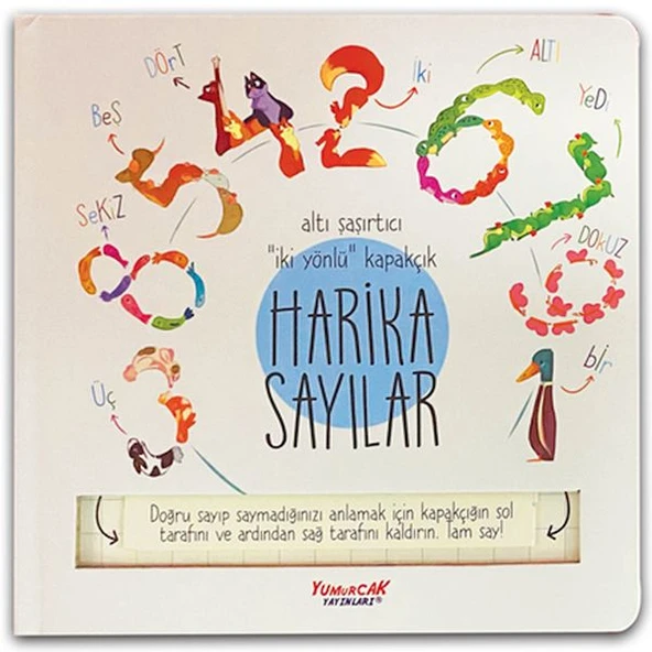 Harika Sayılar (Kapakçıklı) ürün görseli 1
