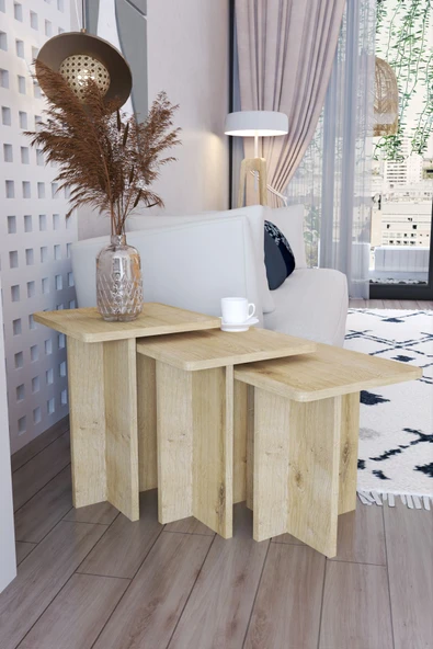 POFİTTO Tİ Def Iskandinav Tarzı Yan Sehpa Seti - Modern Tasarım - 3'lü Zigon ürün görseli 1