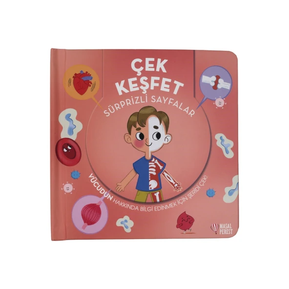 Çek Keşfet - İnsan Vücudu ürün görseli 1