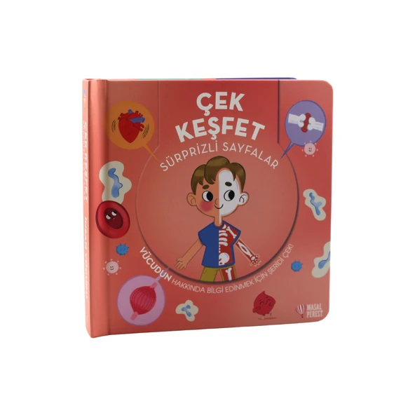 Çek Keşfet - İnsan Vücudu - Resim 2