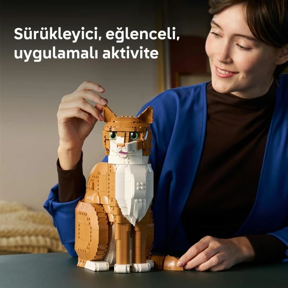 LEGO 21376  Ideas Turuncu Kedi - Resim 6