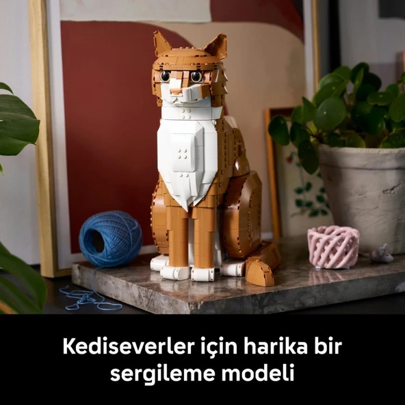LEGO 21376  Ideas Turuncu Kedi - Resim 10