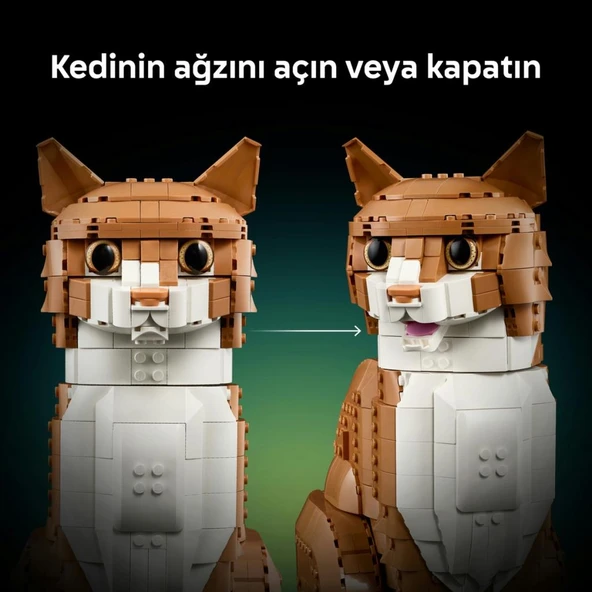 LEGO 21376  Ideas Turuncu Kedi - Resim 8