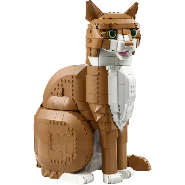 LEGO 21376  Ideas Turuncu Kedi - Resim 2