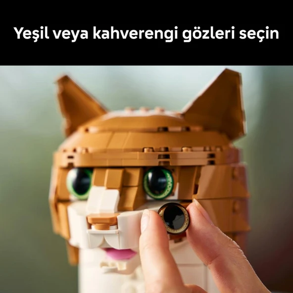 LEGO 21376  Ideas Turuncu Kedi - Resim 9